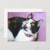 予想 ポストカード (正面/裏面)