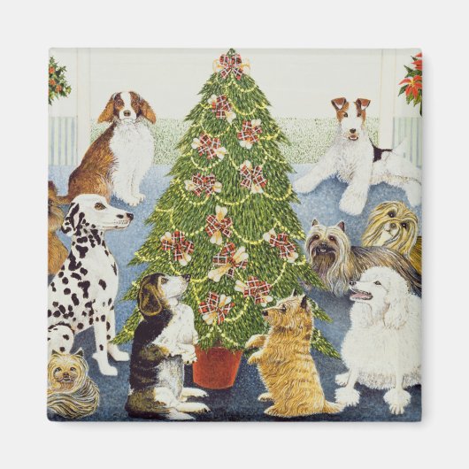 予想 マグネット (正面)