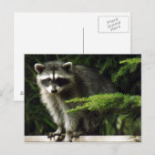 予期しない訪問者， #3 ポストカード (正面/裏面)