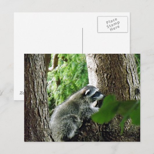 予期しない訪問者， #6 ポストカード (正面/裏面)