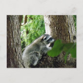 予期しない訪問者， #6 ポストカード (正面)