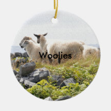 予測できなデザイン – 畑の羊