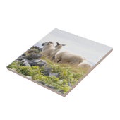 予測できなデザイン – 畑の羊 タイル (側面)