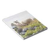 予測できなデザイン – 畑の羊 ノートパッド (アングル)