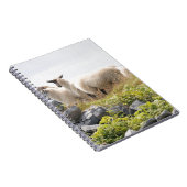 予測できなデザイン – 畑の羊 ノートブック (右側)