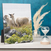 予測できなデザイン – 畑の羊 フォトプラーク (側面)