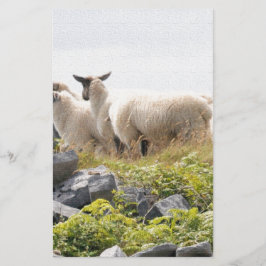 予測できなデザイン – 畑の羊 便箋