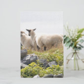 予測できなデザイン – 畑の羊 便箋 (スタンド正面)