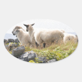 予測できなデザイン – 畑の羊 楕円形シール