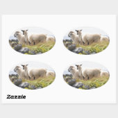 予測できなデザイン – 畑の羊 楕円形シール (シート)