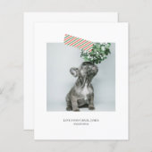 予算おもしろいストライプのテープクリスマスフォト (正面/裏面)