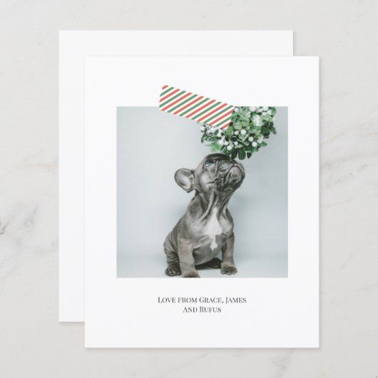 予算おもしろいストライプのテープクリスマスフォト (正面/裏面)