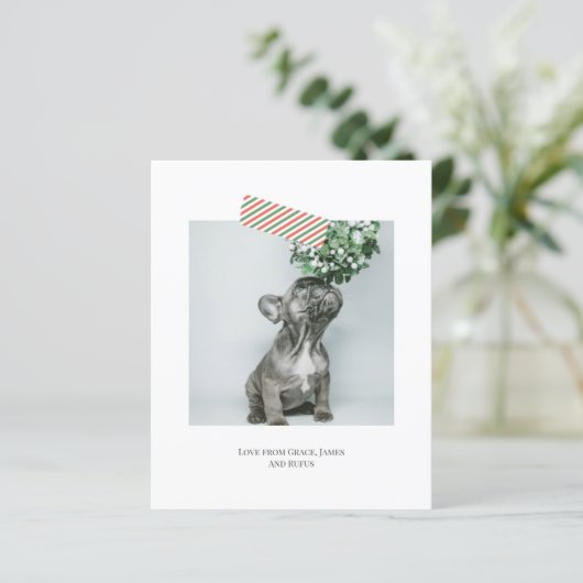 予算おもしろいストライプのテープクリスマスフォト (スタンド正面)