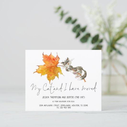 予算おもしろいマイキャットスクリプトを移動した新しいホーム (スタンド正面)