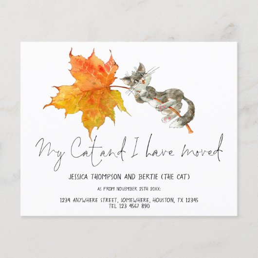 予算おもしろいマイキャットスクリプトを移動した新しいホーム (正面)