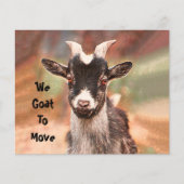 予算かわいいヤギ新しい住所を移動 (正面)