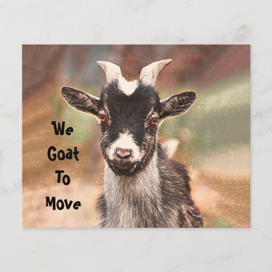 予算かわいいヤギ新しい住所を移動 (正面)