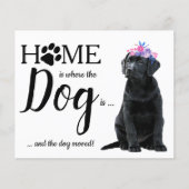 予算かわいい引っ越しました犬の動きの発表 (正面)