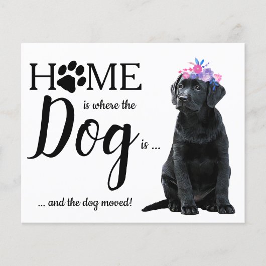 予算かわいい引っ越しました犬の動きの発表 (正面)