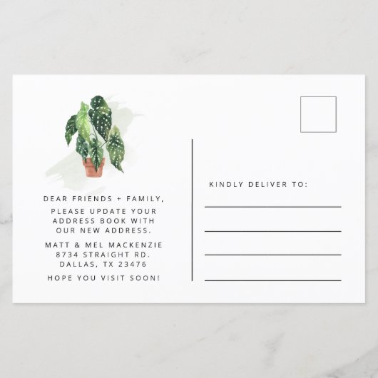 予算が新たなルーツの動きを促す発表 (裏面)