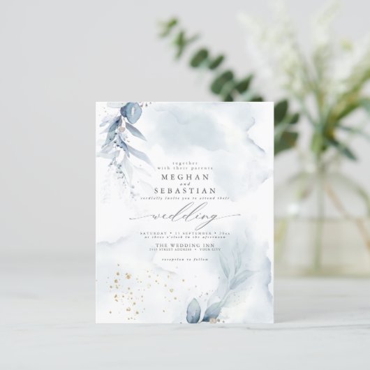 予算が美しいほこりっぽい青い葉の水色 (スタンド正面)