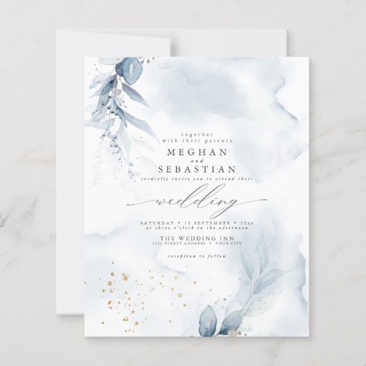 予算が美しいほこりっぽい青い葉の水色 (正面)