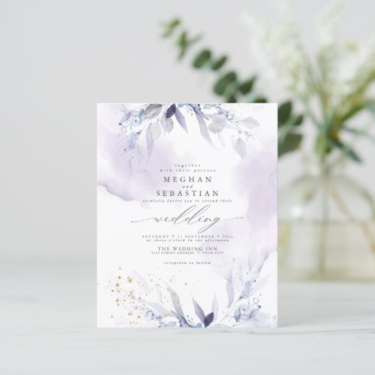 予算が美しい梅エレガントの水の色 (スタンド正面)