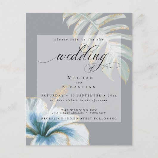 予算が美しい結婚ほこりっぽいブルーハイビスカス (正面)