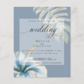 予算が美しい結婚ほこりっぽいブルーハイビスカス (正面)