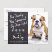 予算が4つの足で拡張された新しいペットの子犬 (正面/裏面)