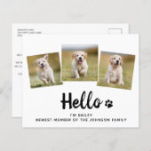 予算こんにちは写真パピードッグ新しいペット発表 (正面/裏面)