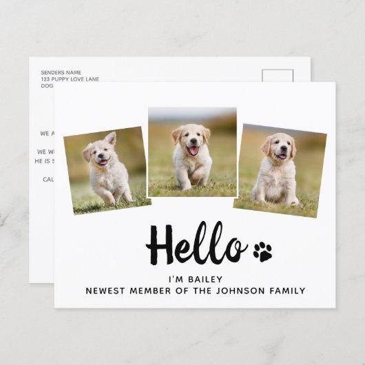 予算こんにちは写真パピードッグ新しいペット発表 (正面/裏面)