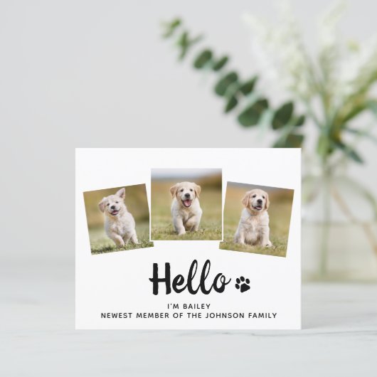 予算こんにちは写真パピードッグ新しいペット発表 (スタンド正面)