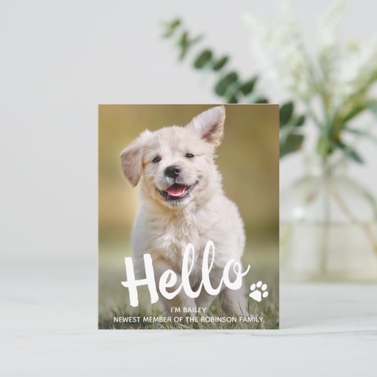 予算こんにちは新しいペットフォトパピードッグ発表 (スタンド正面)