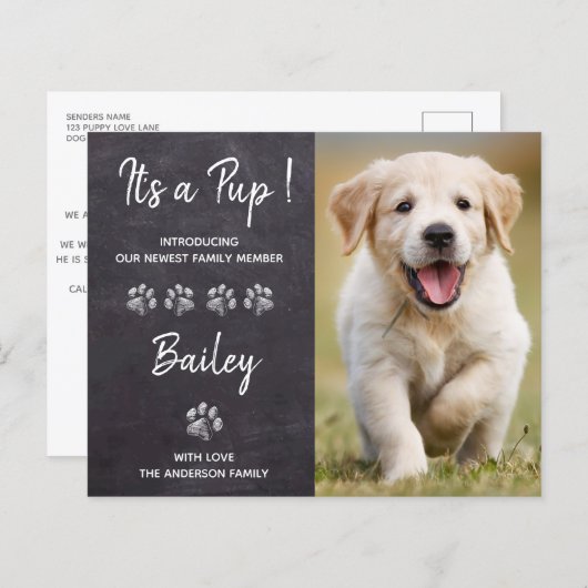 予算それは新しいペット犬の子犬の発表である (正面/裏面)