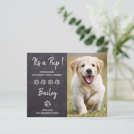 予算それは新しいペット犬の子犬の発表である (スタンド正面)