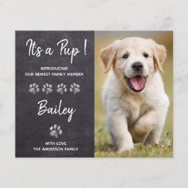 予算それは新しいペット犬の子犬の発表である