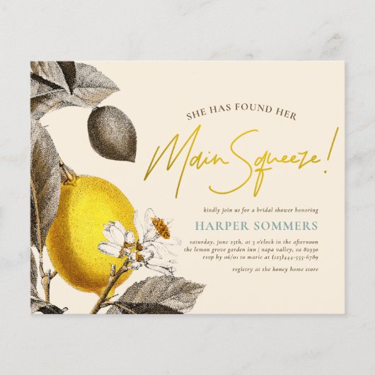 予算とモダンヴィンテージのメイン絞りブライダルシャワー (正面)