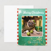 予算に優しいメリークリスマス ペットフォト (正面/裏面)