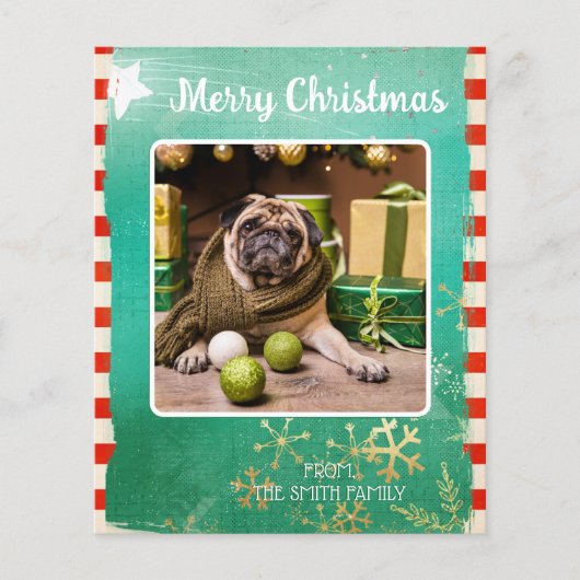 予算に優しいメリークリスマス ペットフォト (正面)