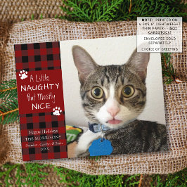 予算に優しい猫の写真入りグリーティングカード ナウティかナイスか