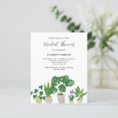 予算に優しい鉢植えの植物 ブライダルシャワーのグリーン (スタンド正面)