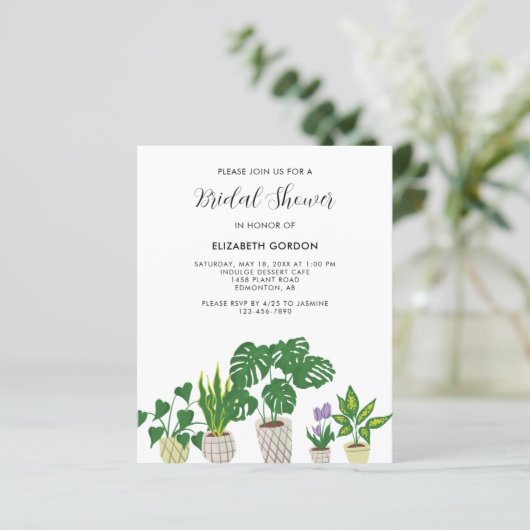 予算に優しい鉢植えの植物 ブライダルシャワーのグリーン (スタンド正面)