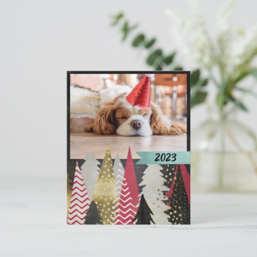 予算に優しい 赤黒の写真 (スタンド正面)