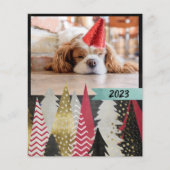 予算に優しい 赤黒の写真 (正面)