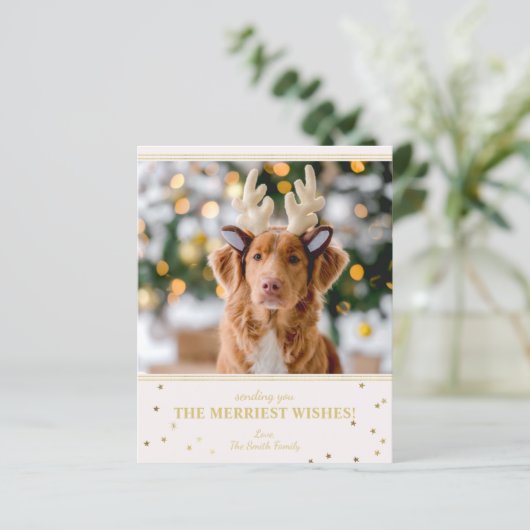 予算のクリスマスフォト (スタンド正面)