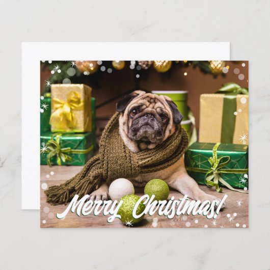 予算のモダン写真 (正面/裏面)