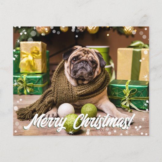 予算のモダン写真 (正面)