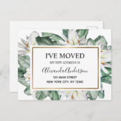 予算の動く発表トロピカルフローラポストカー ポストカード (正面/裏面)