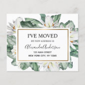 予算の動く発表トロピカルフローラ チラシ (正面)